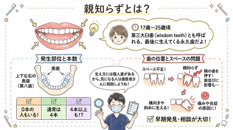 親知らずとは？の図解