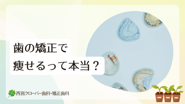 歯の矯正で痩せるって本当？