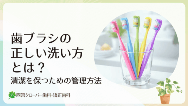 歯ブラシの正しい洗い方とは？清潔を保つための管理方法