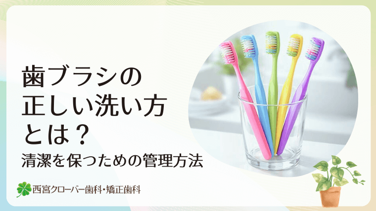 歯ブラシの正しい洗い方とは？清潔を保つための管理方法