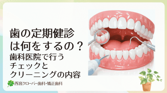 歯の定期健診では何をするの？歯科医院で行うチェックとクリーニングの内容を解説
