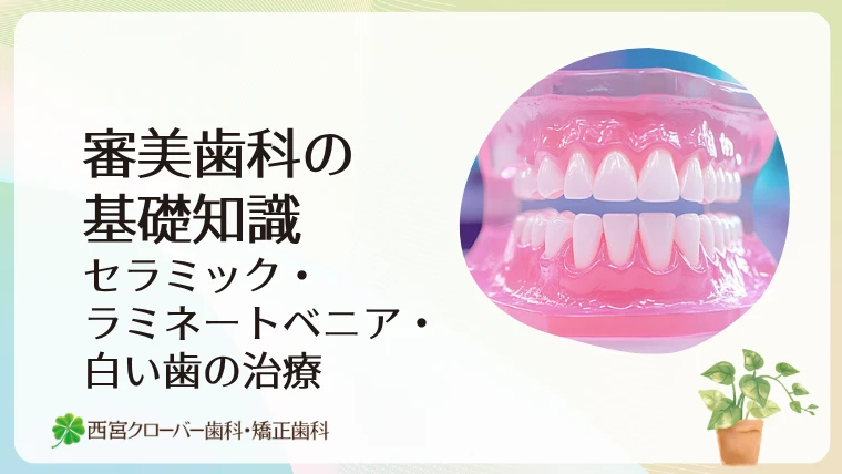 審美歯科の基礎知識｜セラミック・ラミネートベニア・白い歯の治療
