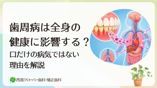 歯周病は全身の健康に影響する？口だけの病気ではない理由を解説