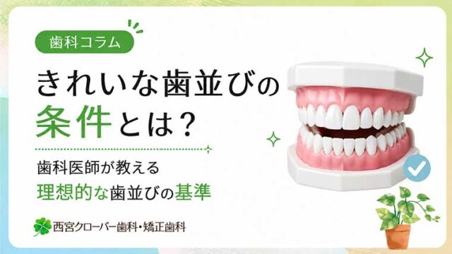 きれいな歯並びの条件とは？歯科医師が教える理想的な歯並びの基準